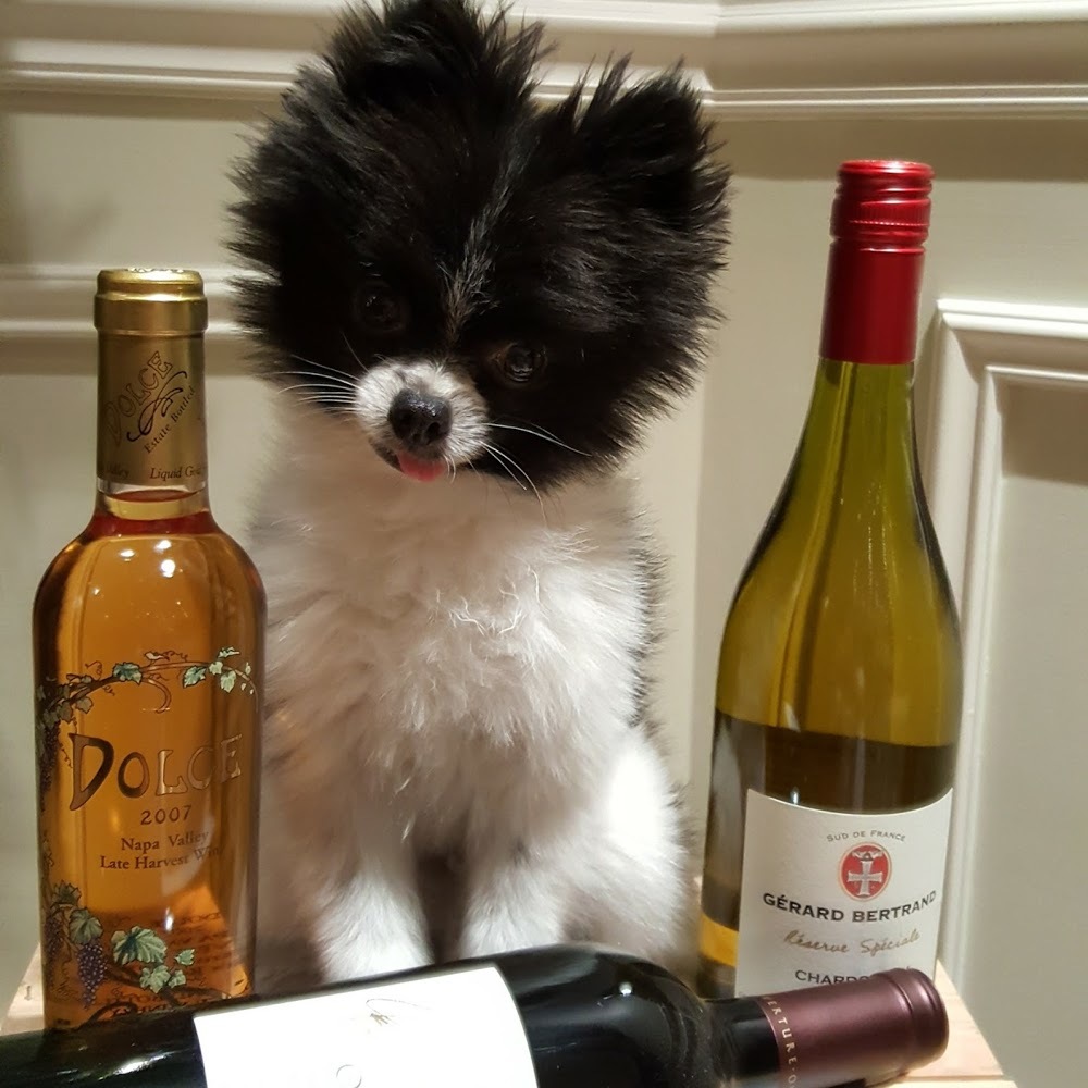 Meet your Posher, Furby